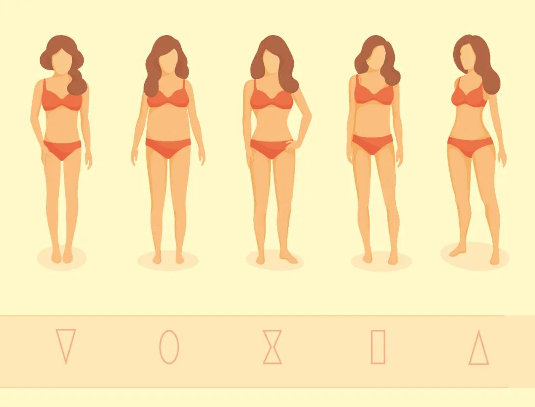 梨形？苹果形？沙漏形？你的体形反映健康状况 | 科学减重一起来