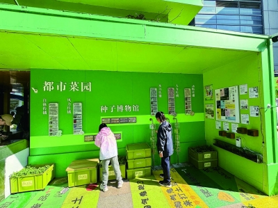 南京建邺区中城社区打造的多功能综合性儿童活动空间。 南京日报/紫金山新闻记者 祝东秀 摄