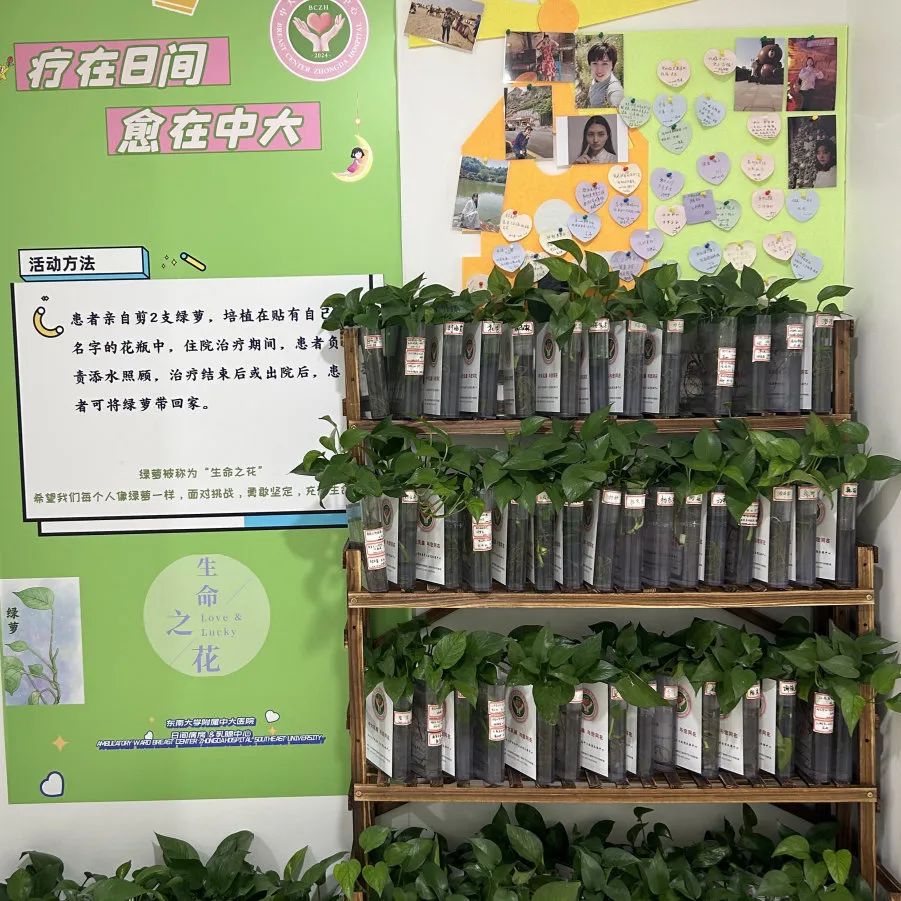 一场特殊的“生命接力”……