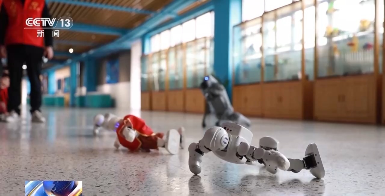 和机器狗赛跑、在科考船上课 这些中小学科学课太酷啦！