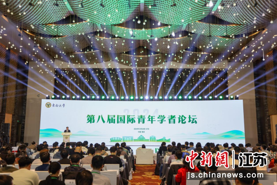 东南大学第八届国际青年学者论坛在南京举办。中新网记者 泱波 摄